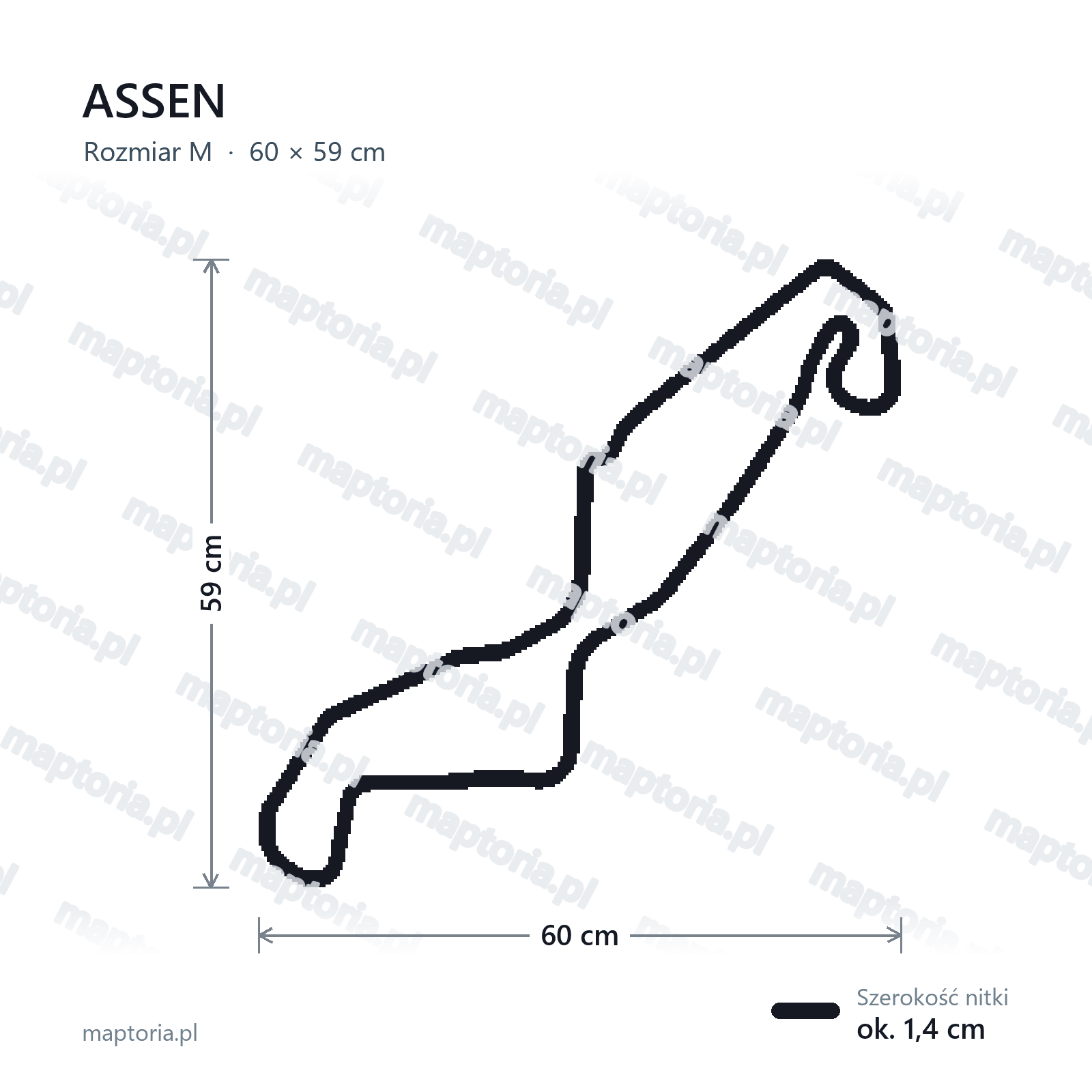 Wymiary toru Assen w rozmiarze M (60 cm dłuższego boku)