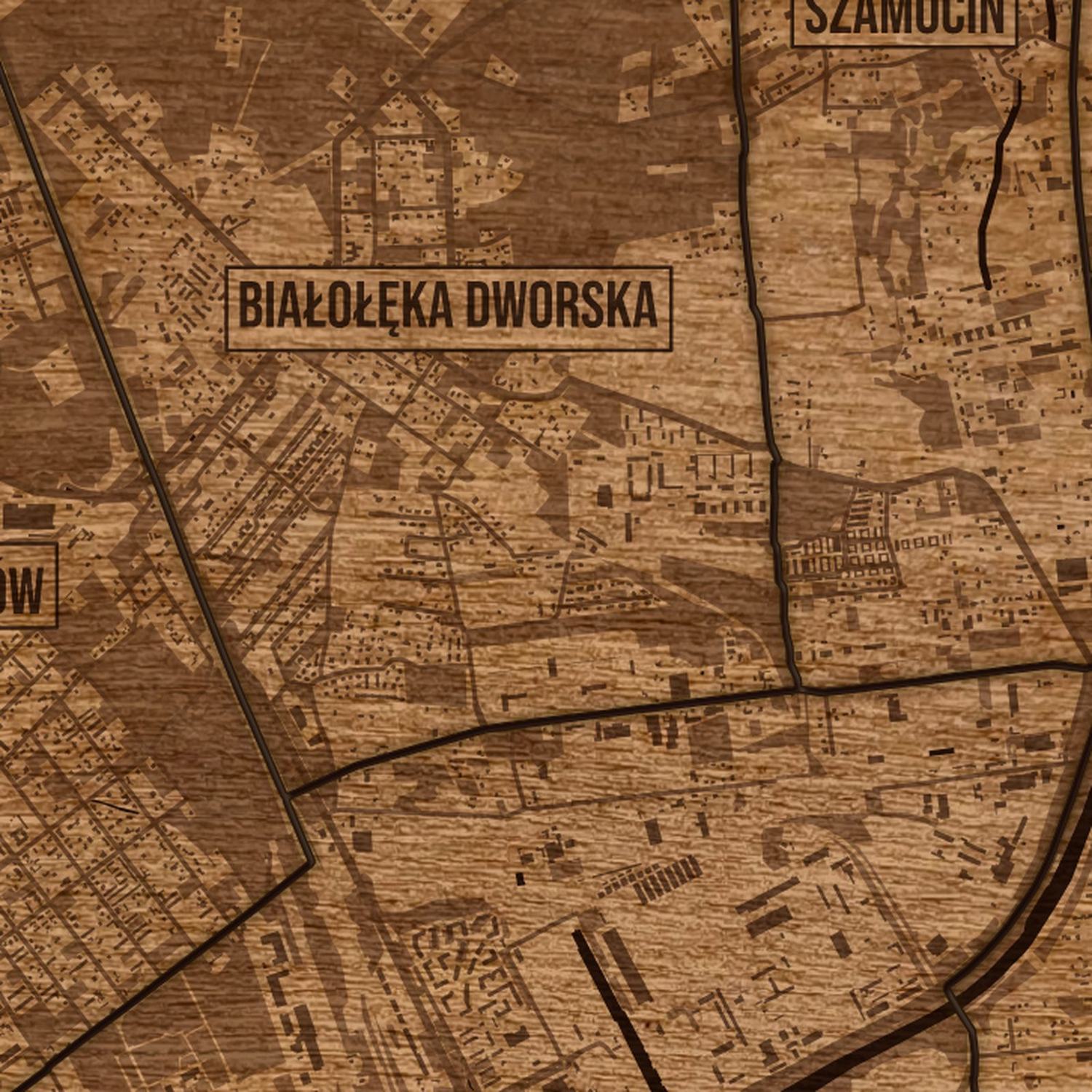 Białołęka (Warszawa) - zbliżenie na grawer drewnianej mapy