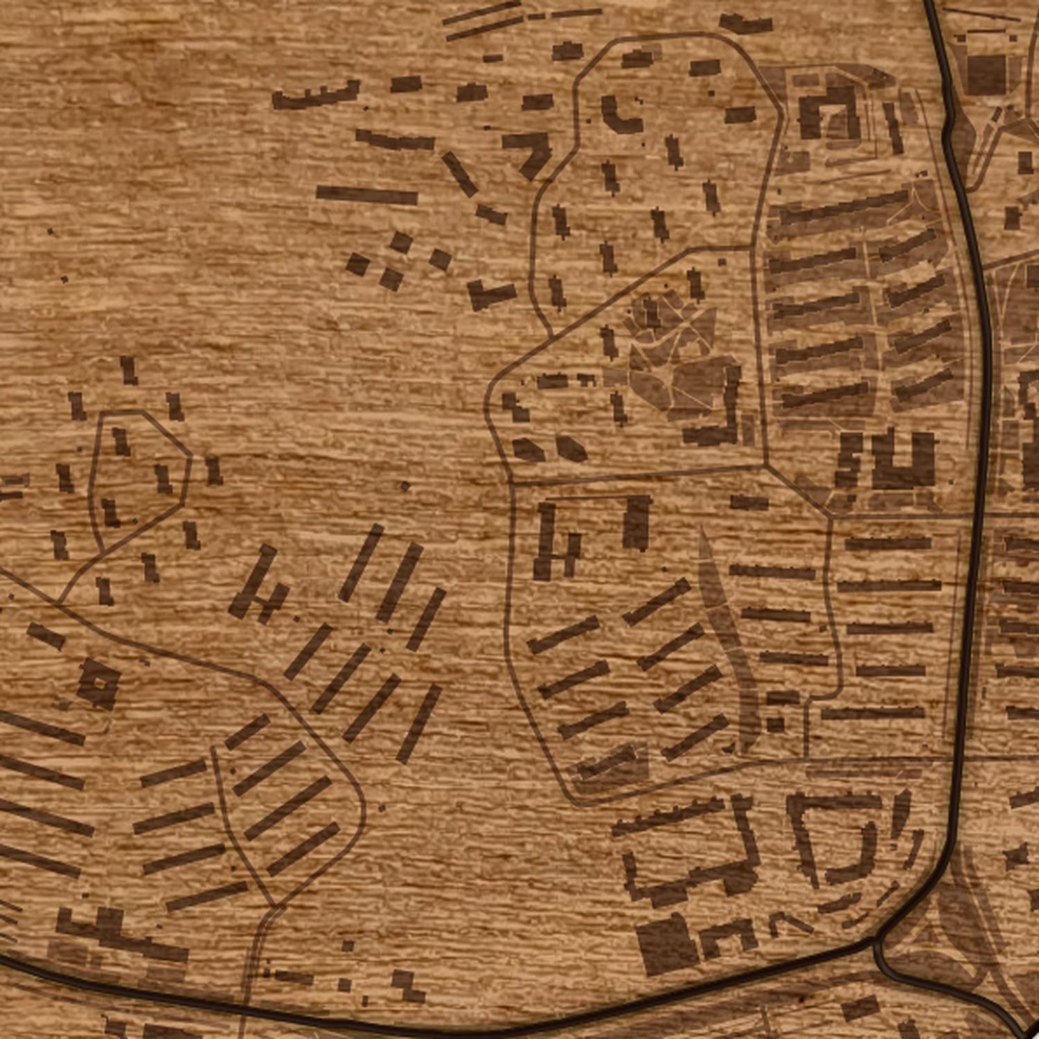 Mistrzejowice (Kraków) - zbliżenie na grawer drewnianej mapy