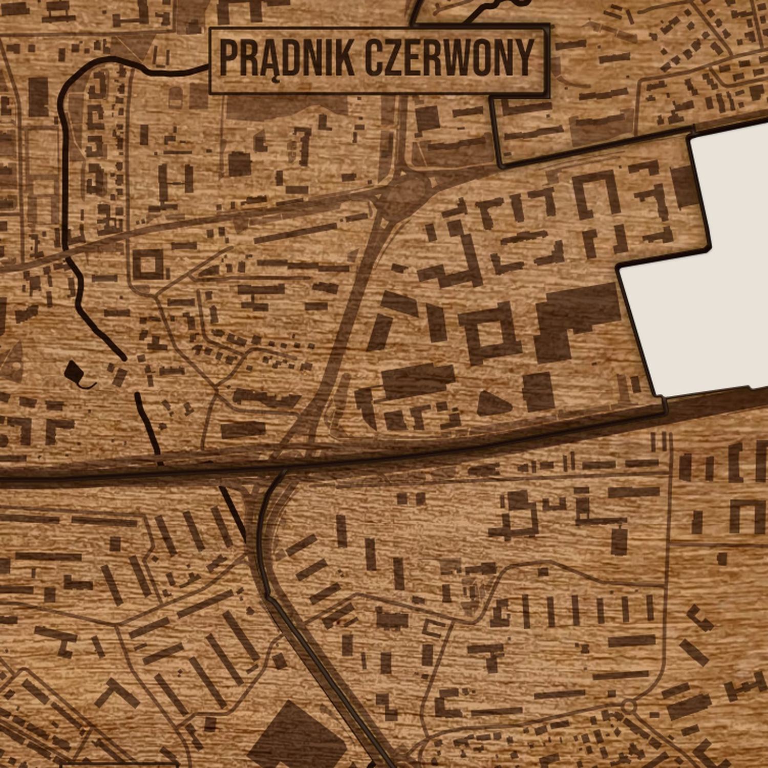 Prądnik Czerwony (Kraków) - zbliżenie na grawer drewnianej mapy